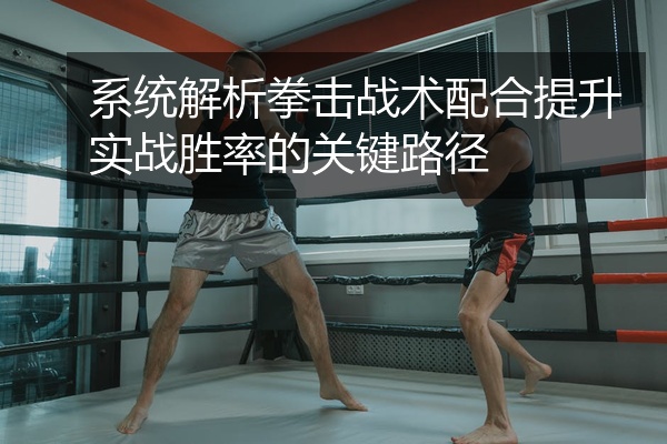 系统解析拳击战术配合提升实战胜率的关键路径